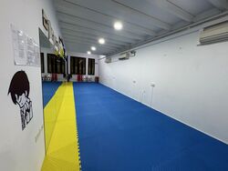 Geylang Road (D14), Shop House #451373061